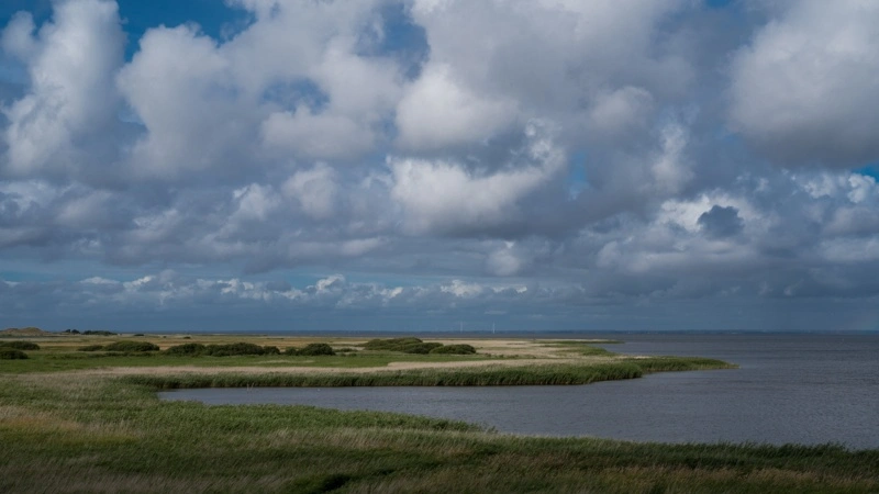 Der er et stort kvælstofreduceringsbehov ved Ringkøbing Fjord, men foreløbig er trepartsprojekterne sat på pause i området. Arkivfoto
