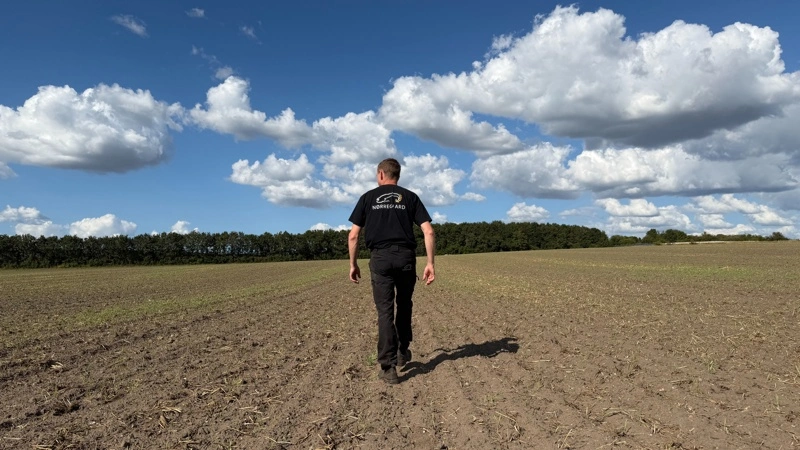 For Ole Mathiasen står valget mellem at så efterafgrøder og vårsæd efter de 43 hektar vinterraps, han netop har etableret, eller finde andre virkemidler, så han fortsat kan dyrke vintersæd. Fotos: Kasper Stougård