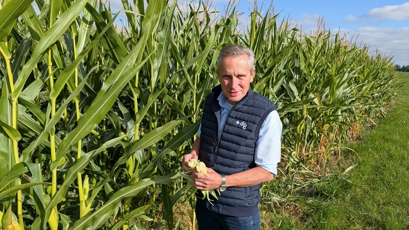 Produktchef Ulrich Christiansen, DLG, ser frem til præsentationen af både nye og kendte majssorter på grovfodermøderne i de kommende to uger. Foto: Erik Hansen