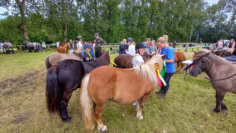 Heste og ponyer i mange størrelser er omdrejningspunktet for føl- og plageskuet i Gørlev. Her ses deltagere og udstillere ved et tidligere arrangement. Arkivfoto