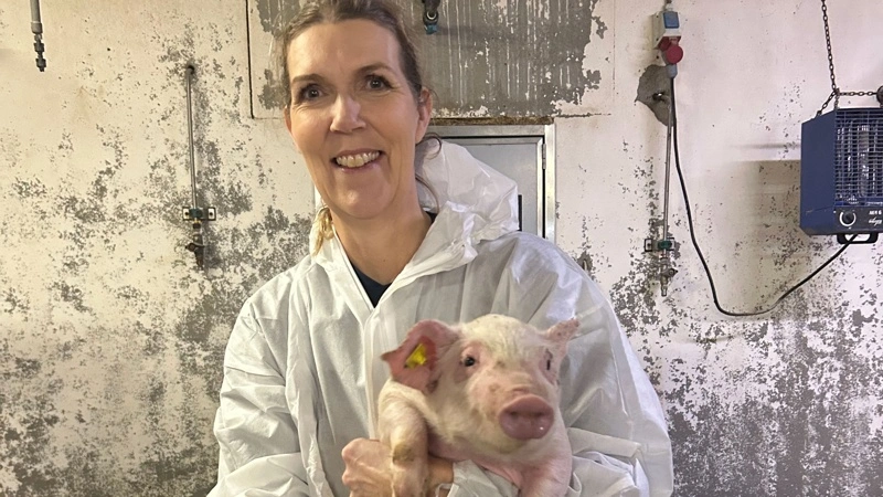 Charlotte Sonne Kristensen opfordrer slagtegrisebesætningerne til at deltage i Lungvember og derved få dokumenteret, om de tiltag, de har indført, rent faktisk har haft den ønskede effekt på grisenes lungesundhed og dermed også på deres velfærd. Foto: Ceva