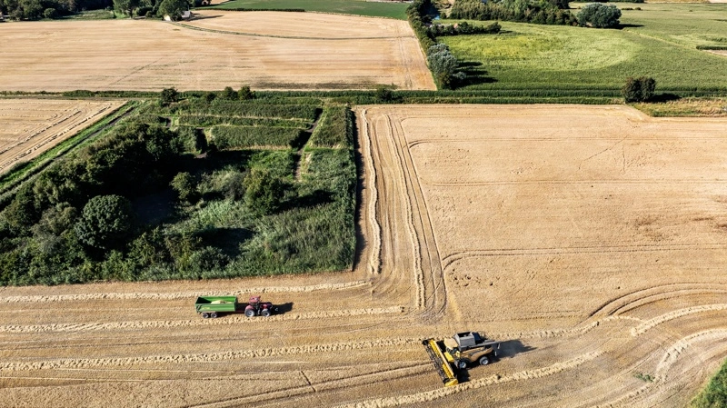 DLG løfter EBITDA med 283 millioner kroner i første halvår, mens ReGen-programmet er foran planen og styrker indtjeningen. Foto: DLG