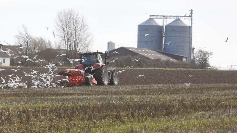 Mange landbrug står over for et ejerskifte og investeringer inden for de kommende år, og derfor får Skjern Bank henvendelser fra flere unge landmænd, som ønsker at overtage eller købe deres første landbrugsejendom. Arkivfoto