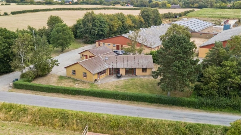 Den udbudte bedrift ved Barløse nordvest for Assens omfatter både bolig og staldanlæg til slagtegrise. Foto fra salgsopstilling: Hekto&Co
