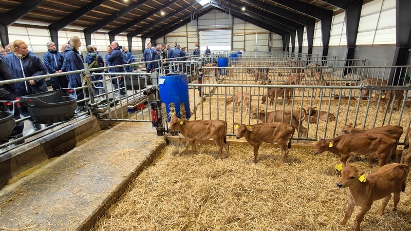 Et af beretningens fokusområder var at nedbringe metanudledningen gennem avl. Efter den faglige del af årsmødet tog deltagerne på besøg ved SL Agro ApS. Fotos: Tenna Bang