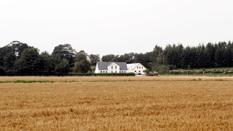 Arkivfoto: Anne Wolfenberg