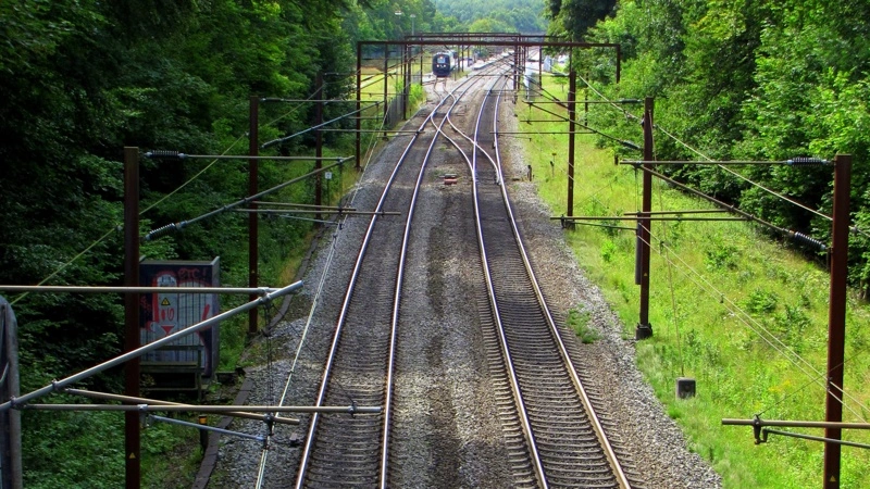 Staten bør stå for træfældningerne langs elektricificerede jernbaner, mener man blandt andet i Skovforeningen, som nu bakkes op af Venstres transportordfører. Foto: Colourbox