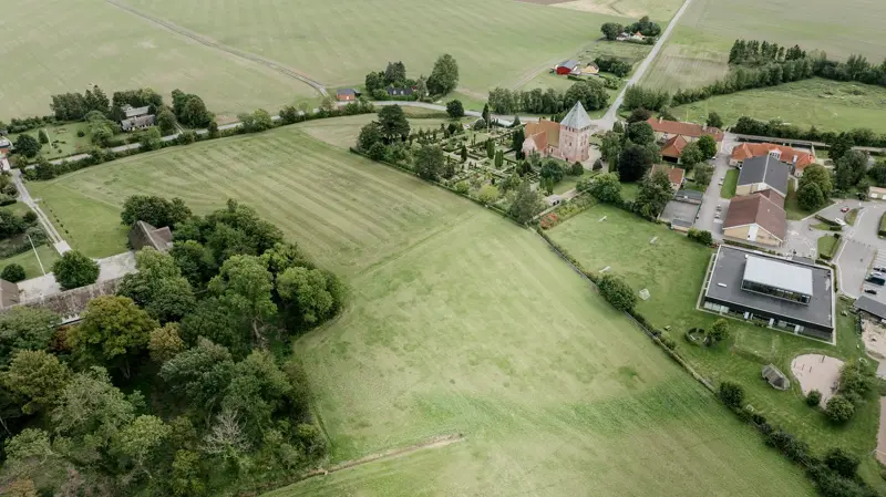 Det er planen, at den nye skov, der ligger ved Maribo, skal bestå af bl.a. bøge- og egetræer.