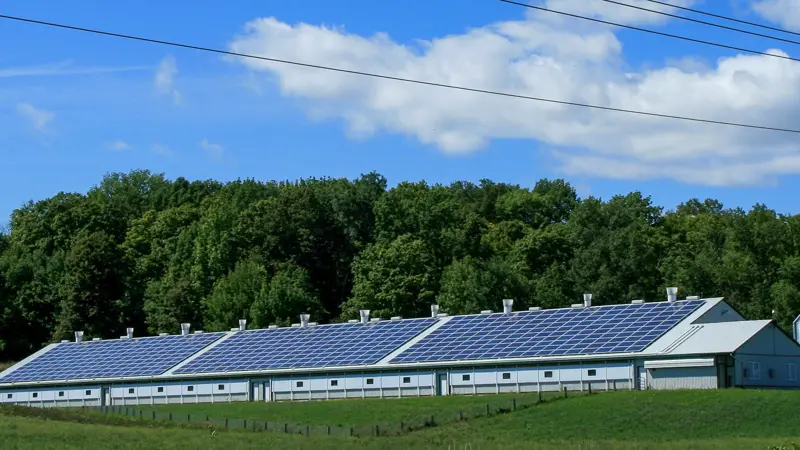 Flere landbrug investerer i energiløsninger som solceller og batterilagring. Alm. Brand opfordrer til særlig opmærksomhed på placeringen af batterianlæg i forhold til stalde og andre bygninger. Arkivfoto