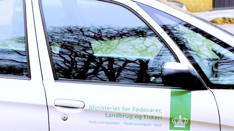 Fremover skal en helt ny styrelse stå for kontrollen med dyrevelfærd. Samtidig bliver der ansat 100 nye medarbejdere for at få mængden af kontroller op. Arkivfoto: Anne Wolfenberg