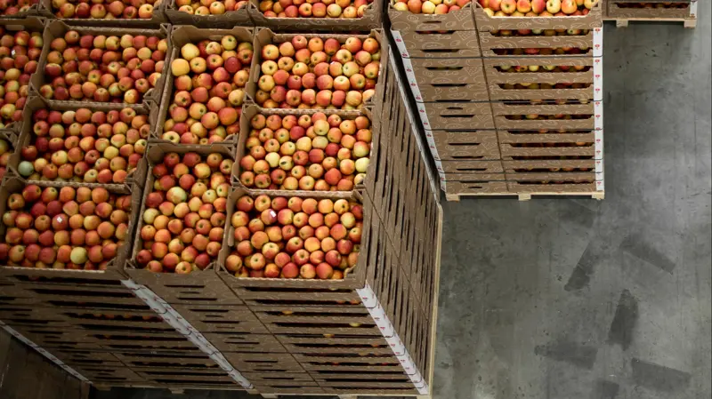 Ny global ISO-standard skal hjælpe fødevarevirksomheder med at reducere madspild og omkostninger samt dokumentere indsatsen. Foto: Dansk Standard