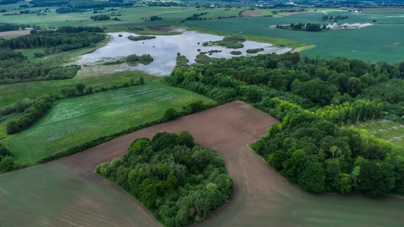 Lavbundsprojekter som Gammelgård Sø ved Søballe skal reducere udledningen af drivhusgasser fra kulstofrige landbrugsjorder ved at hæve vandstanden. Projektets klimaeffekt er beregnet til 757 ton CO₂-ækvivalenter om året. Arkivfoto: Colourbox