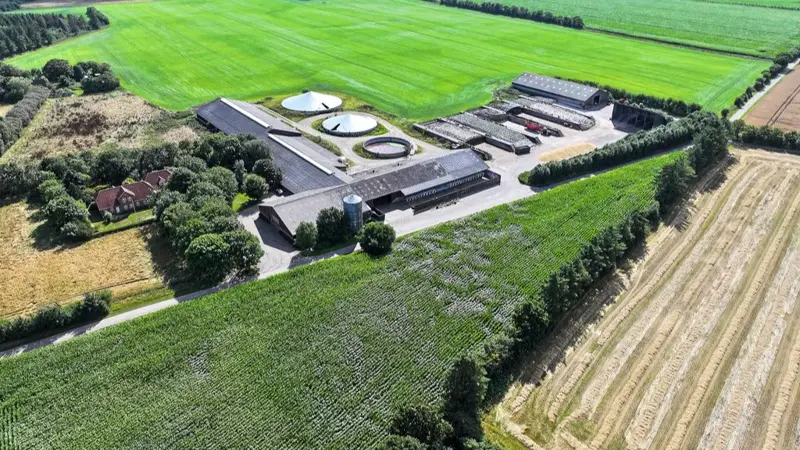 Det meste af jorden, der hører til Højpilegaard, ligger samlet omkring hovedejendommen ved Agerskov. Bedriften har omkring 300 årskøer med opdræt. Foto: Nybolig Landbrug Tønder