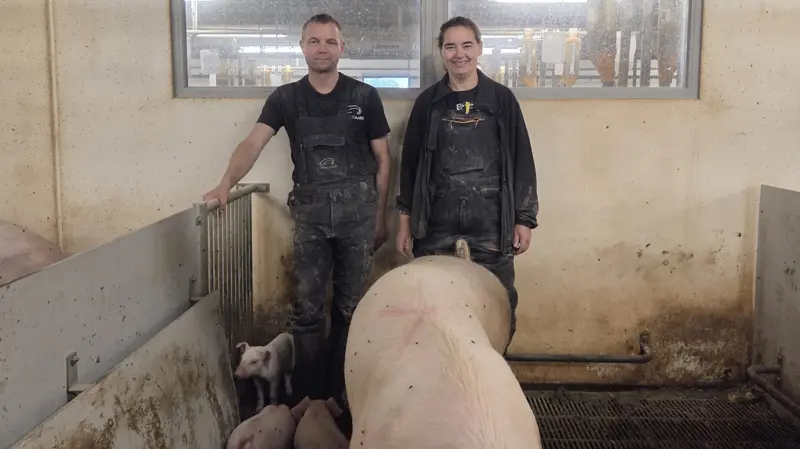 Ole og Sanne Mathiasen ejer og driver Nørregaard, hvor de siden 2014 har haft løsgående diegivende søer og produceret grise med hele haler. Fotos: Skiold