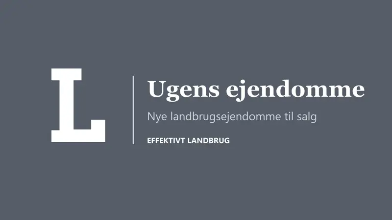 Ugens ejendomme er skrevet ved hjælp af kunstig intelligens ud fra de ejendomme, der er sat til salg på Landbrugsmarkedet i den forløbne uge. Artiklen præsenteres i samarbejde med Landbrugsmarkedet, Danmarks største landbrugsejendomsportal.