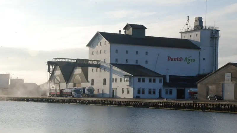 Danish Agro får bøde på 10.000 kroner efter fund af rotteekskrementer i raps i Køge. Koncernen bestrider myndighedernes afgørelse. Arkivfoto