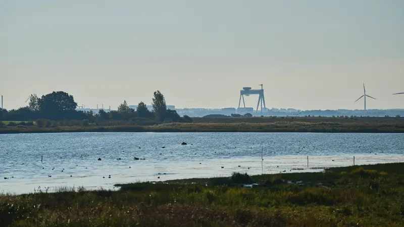 Odense Fjord ligger i et opland, hvor natur, landbrug, byområder og erhverv mødes. Det er netop den blanding af interesser og påvirkninger, Odense Fjord Samarbejdet forsøger at samle omkring fælles løsninger. Fotos: Odense Fjord Samarbejdet
