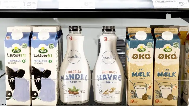 Naturli' Foods har haft pæn succes med deres havrealternativer til mælkeprodukter. Men nu kan de se frem til hård konkurrence fra Arla. Foto: Michael Hein