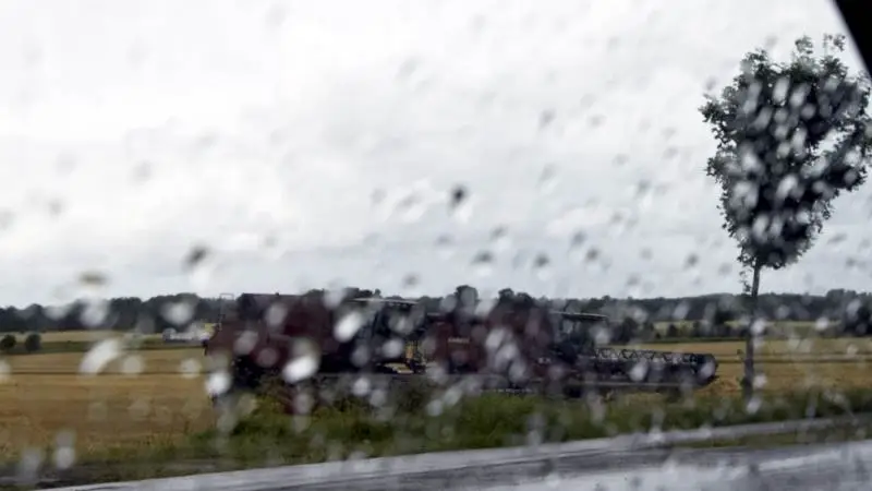 I 2017 oplevede nordjyderne, at regnen samlet set ødelagde de ellers, indtil da, ok udbytter. Arkivfoto
