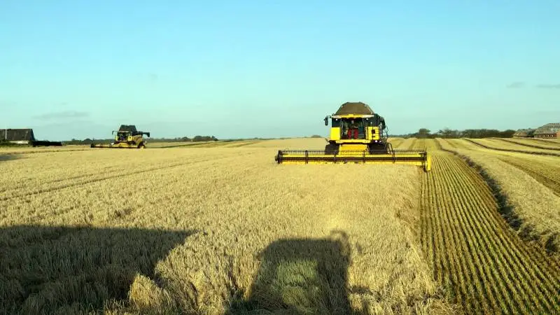 De to 30 fods New Holland-mejetærskere gnaver sig effektivt gennem vårbyggen. Fotos: Risgård