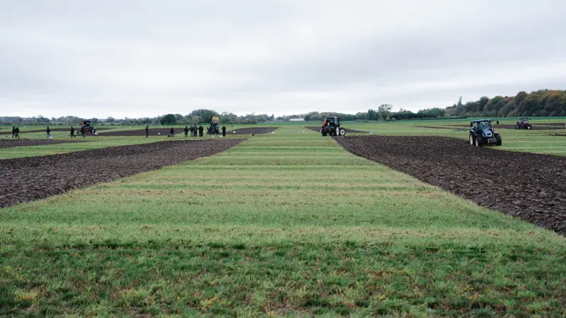 Markerne ved Krenkerup Gods lagde jord til årets DM i pløjning. Det var første gang i 30 år, at DM i pløjning blev afholdt på Lolland. Foto: Emma Brink Laursen/LandboUngdom