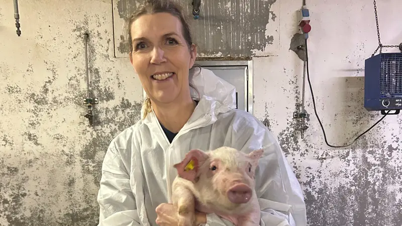 Charlotte Sonne Kristensen forklarer, hvordan vaccinationsløsningen med beskyttelse mod parvovirus, rødsyge og vigtige årsager til pattegrisediarré kan styrke både soens sundhed og velfærd og bidrage til lavere pattegrisedødelighed. Foto: Ceva