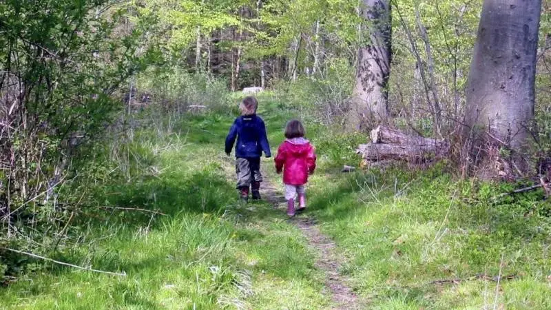 Der er tale om godt 13.300 hektar fordelt på 45 skove rundt omkring i Danmark, der som en del af en historisk stor udlægning står til at blive forvandlet til enten urørt skov eller anden biodiversitetsskov. Arealet svarer til to gange Samsø eller fire gange Gribskov.