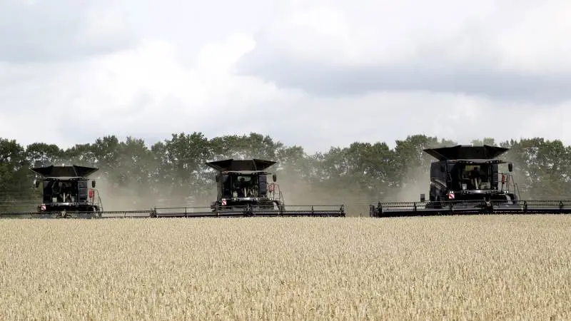 Der blev kørt med Fendt Ideal 9T mejetærskere på arealerne ved Adamshøj Gods. Foto: Henriette Lemvig