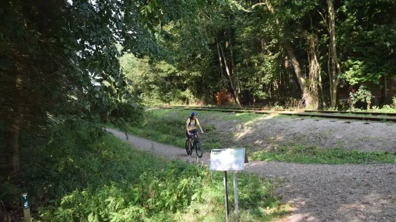 De danske skove er klart den mest besøgte naturtype med 70 millioner besøg årligt. Skovejer Ditlev Berner, Holstenshuus Gods, forsøger at udnytte interessen kommercielt. Her er det et mountainbike-spor, som det koster 10 kroner om dagen at benytte. Foto: Morten Ipsen