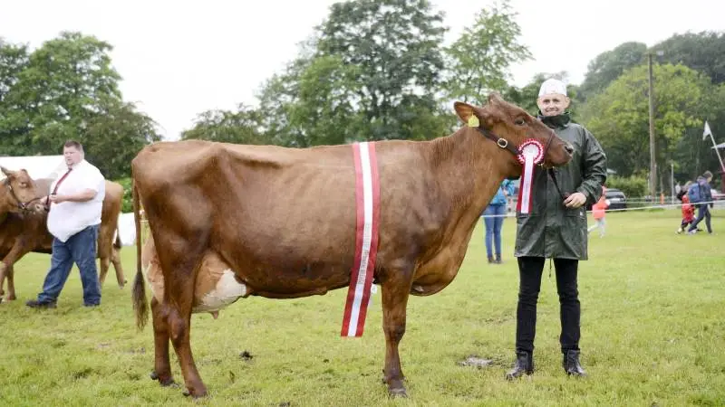 I sommer stod en af køerne fra Jens Peter Støjberg på fløjen som MidtWest Farmshows smukkeste ældre RDM-ko. På fredag kan du se endnu flere køer fra samme besætning, når Jens Peter Støjberg viser sin besætning frem efter det faglige møde ved RDM’s årsmøde i Roslev.