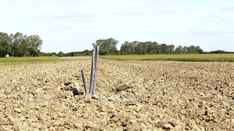 Det er Energinets opgave at etablere de tekniske anlæg, der gør, at strømmen fra de kommende vindmølleparker i Vestjylland kan komme fra et opsamlingspunkt nær kysten og ud i det nationale el-transmissionsnet. Det kræver meget gravearbejde. Foto: Lasse Ege Pedersen