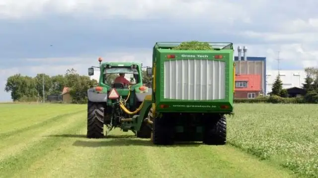 Fodring med frisk græs giver ifølge Jørgen Søndergaard Madsen større udbytte og mere protein end fodring med ensilage.