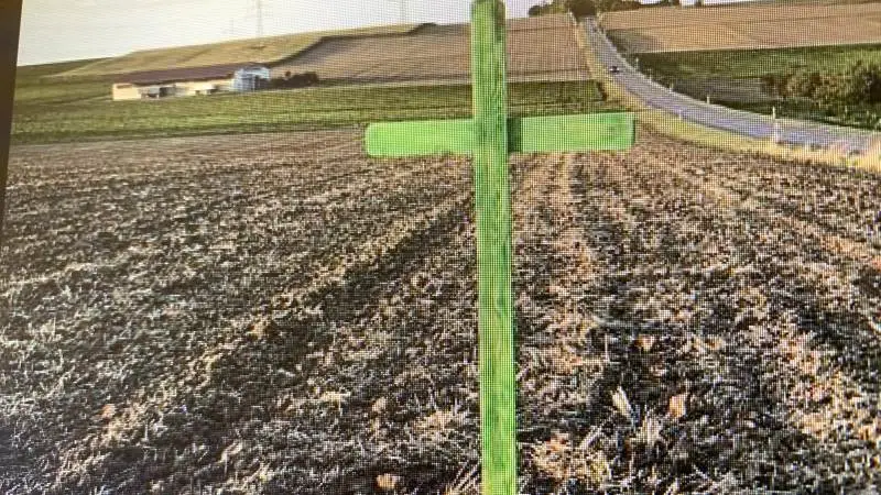 De grønne kors – eller Grüne Kreuze – præger i stigende omfang de tyske marker i disse uger. Screendump: agrarheute.de