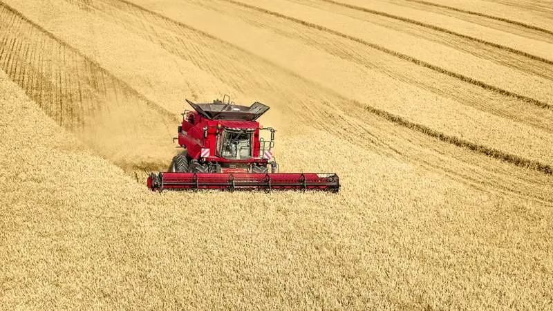 Inde bag de velkendte ydre rammer optimeres mejetærskerne på livet løs. Materialet sendes hurtigere gennem maskinen, og sluget modtager mere materiale fra de stadigt bredere skæreborde.