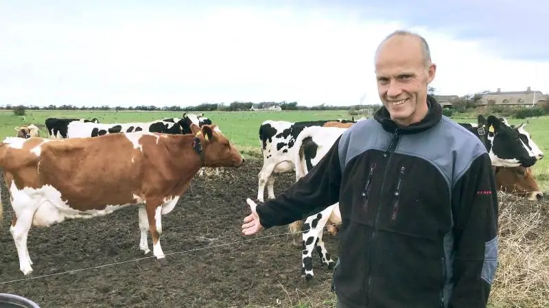 Peter Aalbæk, Holmsland, er glad for at være blevet smerterne kvit, så han fortsat selv kan passe og malke sine køer.