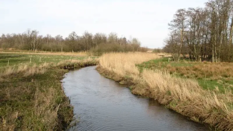 Hvorfor skal vandrådene bruge tid og kræfter på at give miljøministeren et solidt lokalt kvalificeret indspil, hvis der alligevel ikke bliver lyttet til dem, spørger Hans Gæmelke, formand for Djursland landboforening, i et åbent brev til miljøminister Lea Wermelin.
