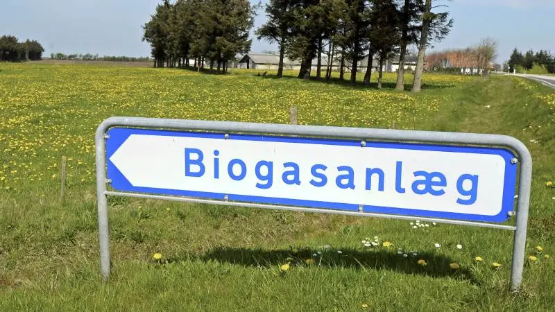 Det er meningen, at biogasproducenter skal have en bedre bundlinje. Det er baggrunden for det nye rådgivningssamarbejde. Arkivfoto