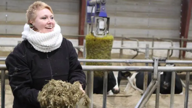 - Normalt ville man sige, at »så dør baby«, sagde Anne-Mette Søndergaard, der dog måtte erkende, at Bo Skovbjerg Nielsen er sluppet godt afsted med at give goldkøerne græsensilage, halm og sodakorn.