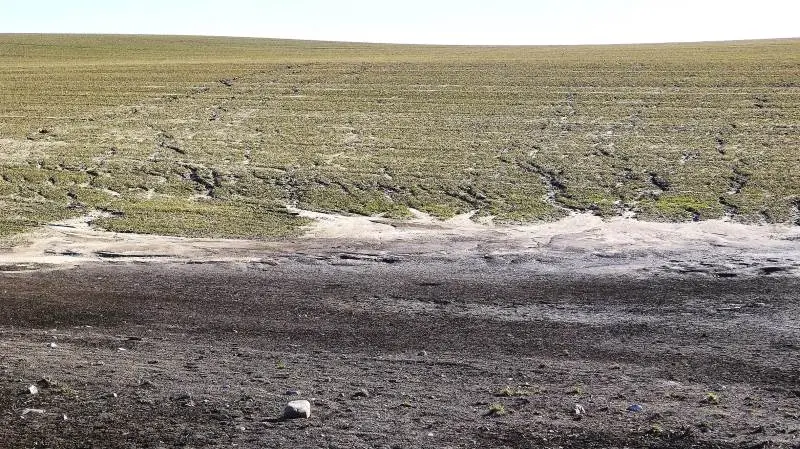 Kraftig erosion, som her på grund af store mængder nedbør, kan resultere i, at afgrøden skal sås om. Arkivfoto
