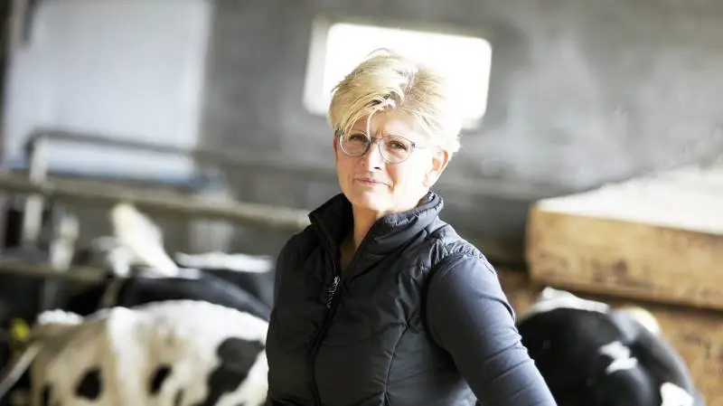 Vildsvinehegnet ved grænsen har trange vilkår på de sociale medier. Der går ikke en dag, uden at hegnet bliver hængt ud. Vildtet kommer til skade, og hegnet når ikke ud i vandet i Flensborg Fjord, fremgår det af opslag på Facebook i den sidste tid. Det er opslag, som har fået masse af likes og er blevet kommenteret flittigt, skriver Ingrid van den Hengel.