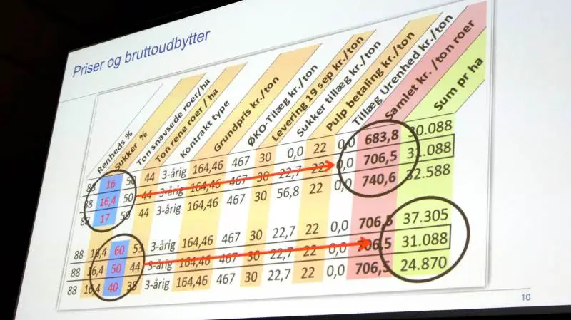 Det er af stor betydning for det økonomiske resultat af økologiske sukkerroer med en høj sukkerprocent og naturligvis et højt udbytte. Her et regneeksempel fra sidste sæson. Kilde: Nordic Sugar.