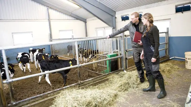 Det gælder om at holde på de gode medarbejdere – der bliver nemlig rift om dem i årene, der kommer, lyder meldingen fra LandboSyd.