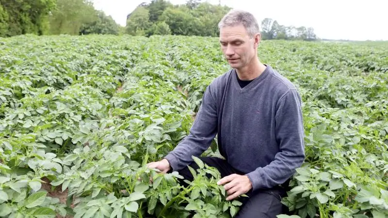 Planteavler Lau Hvid Hansen, der er direktør for det fynske kartoffelmelsprojekt, tilbyder nu flere avlere at få anpart i den kommende fabrik. Målet er mindst 6.000 hektar med stivelseskartofler som produktionsgrundlag. Arkivfoto