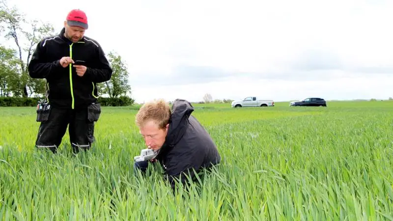 De gamle dyder fra gammel tid skal være i orden, før man går i gang som præcisionslandmand, pointerer Odder-landmand Poul Christensen (tv), der bakkes op af Daniel Rosenkilde Damhus, der er hans planteavlskonsulent og fra Velas.