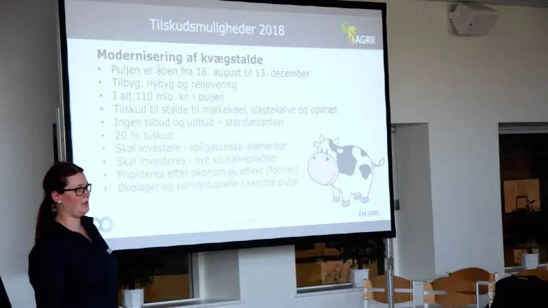 2018 bliver formentlig sidste år med store landdistriktspuljer.
