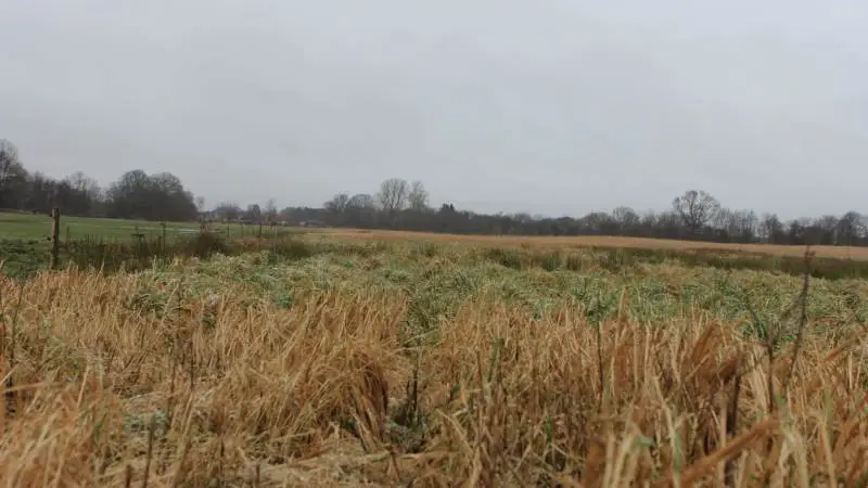 Carl F. Bruun er i dag selv positivt stemt overfor Nationalpark Kongernes Nordsjælland, hvor han blandt andet har meldt dette engareal på 19 hektar ind.