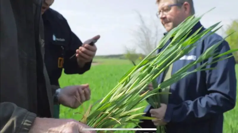 Der er mange faktorer der har betydning, når man vil undgå lejesæd. Det kræver derfor god forståelse for, hvilke forudsætninger dine marker har, og hvilke risikofaktorer, der er relevante. Nu findes der et værktøj, som kan hjælpe dig! Syngenta har udviklet InSpire, som er et digitalt værktøj, der kan hjælpe dig med at træffe den rigtige beslutning i din hvedemark!