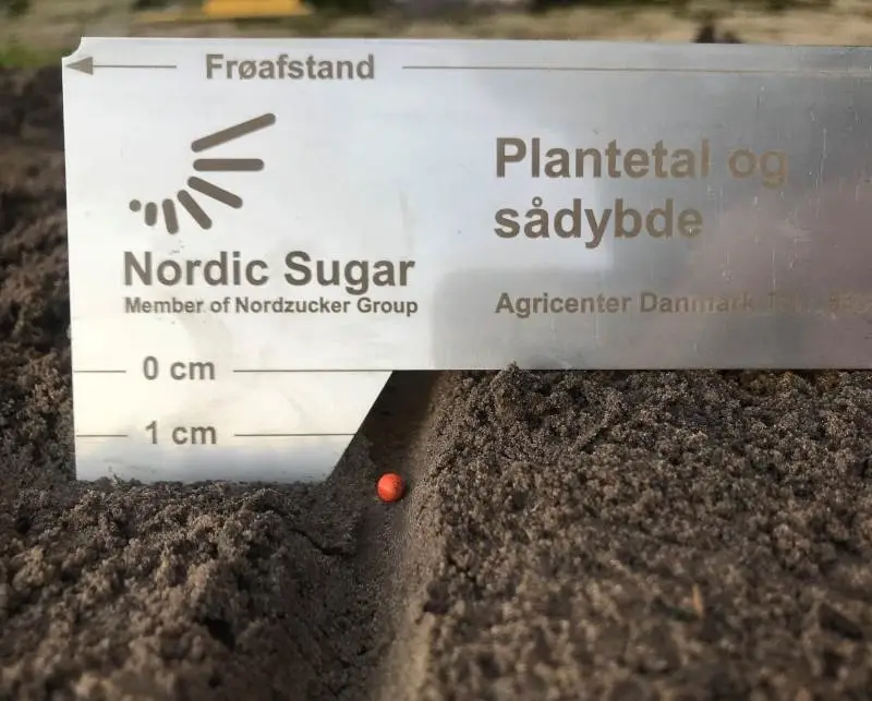 Nordic Sugars såredskab kan bruges til at kontrollere frøafstand. Frøafstand i marken (20-23 centimeter) afhængigt af såbedets beskaffenhed. Sådybde og dækning af roefrøet (cirka to centimer) samt gødningens placering.