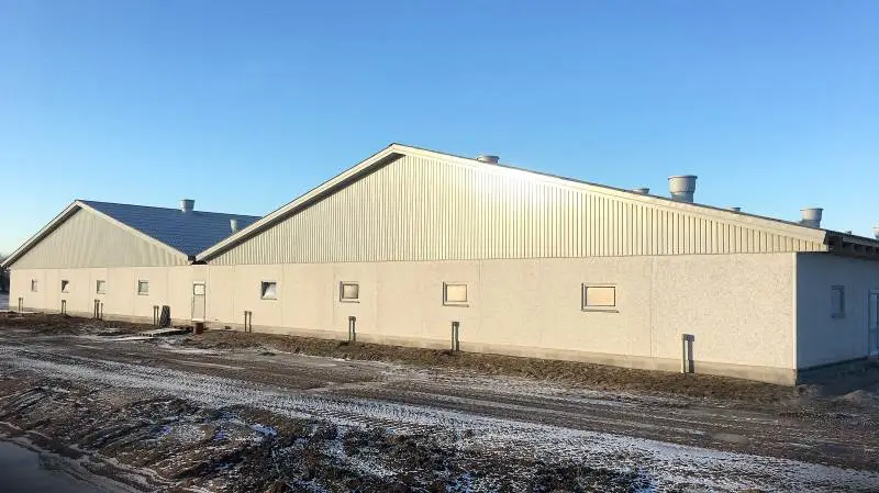 Gråkjær A/S har nyopført et svinestaldprojekt på 5.330 kvadratmeter tvillingestald til slagtesvin. Stalden er bygget hos svineproducent Niels Blem Sørensen ved Jordrup i Sydjylland nær Kolding. Foto: Gråkjær A/S