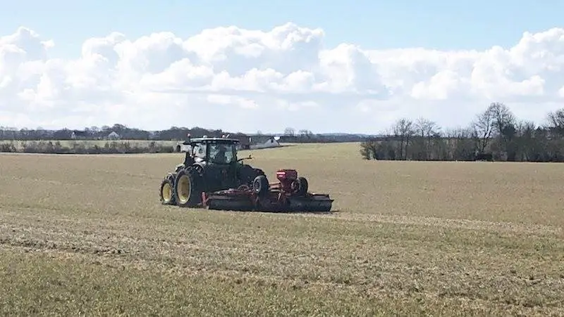 Det kan være en fordel at tromle marken efter såning, hvis der er tale om en lerjord, så fugten pakkes ned omkring kernen.